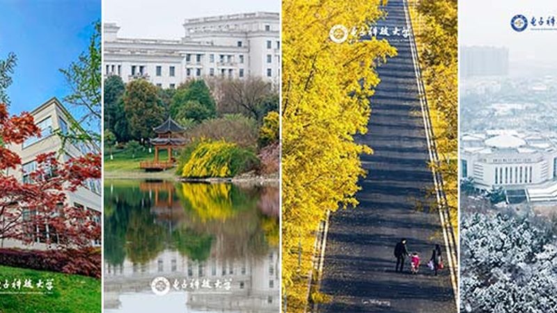 电子科技公司加盟，培训支持全解析**