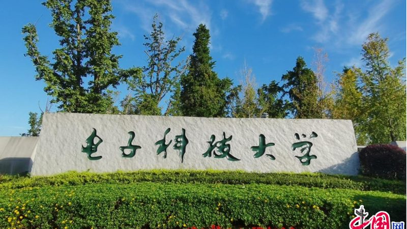恒流二极管：揭秘广州优质生产厂家的核心优势**